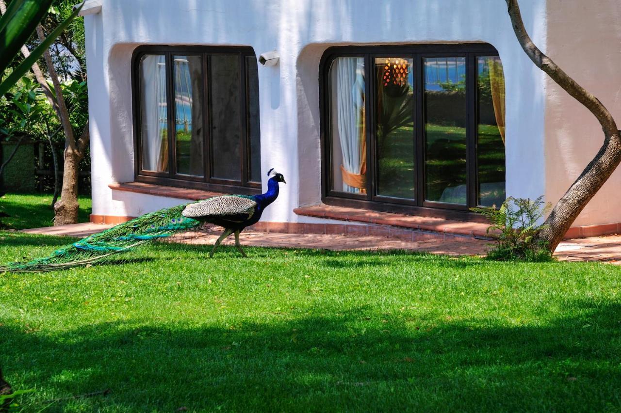Arbatax Park Resort - Ville Del Parco Exteriér fotografie